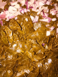 A picture of Moringa (zogale).