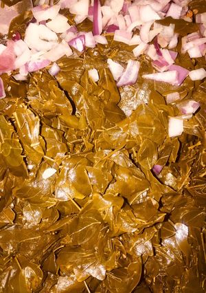 A picture of Moringa (zogale).