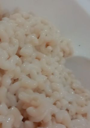صورة لوصفة معكرونة باللبن