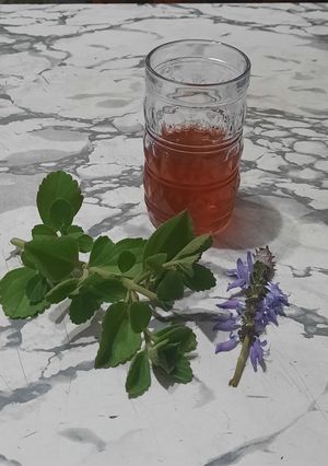 Una foto de Te con hojas de buscapina y de hibiscus