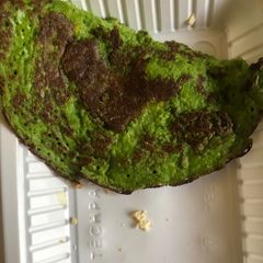 A picture of Vegeterian pancake.