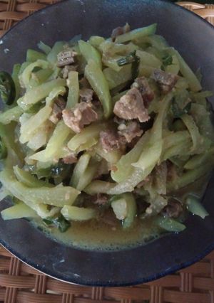 Foto resep Sayur waluh mix bistik