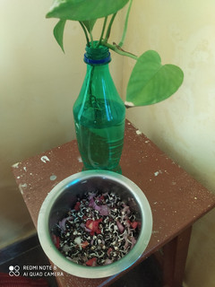 முளைகட்டிய சாலட்(sprout salad recipe in tamil) செய்முறை முக்கிய புகைப்படம்