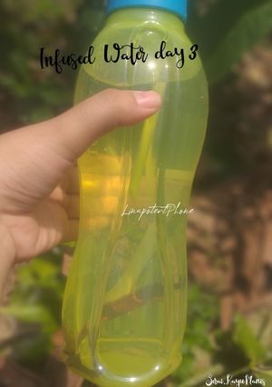 Foto resep Infused Water Day 3