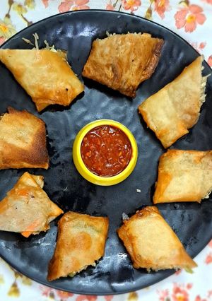 A picture of Veg Spring roll.