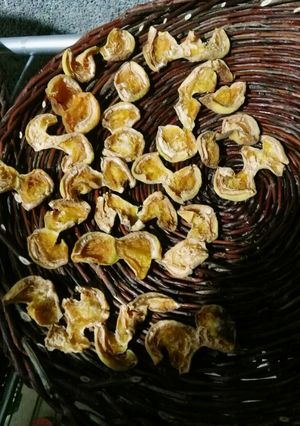 عکسی از دستور پرگ زردآلو