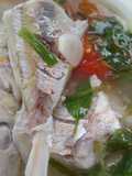 Sop Ikan Daun Kelor
