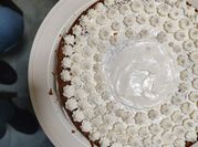 Una foto de postres con leche condensada y zanahoria