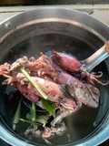 ปลาหมึกไข่น้ำดำ