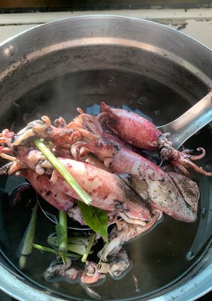 รูปของ ปลาหมึกไข่น้ำดำ