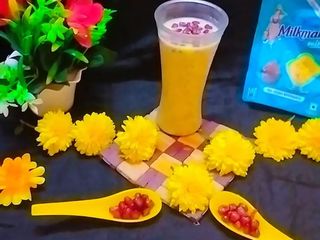 sabja seed falooda