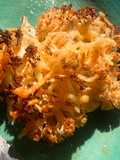 Coliflor gratinado al horno