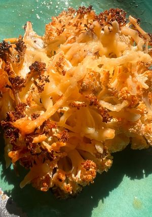 Una foto de Coliflor gratinado al horno