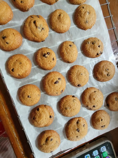 Foto resep Cookies Choco Chip
