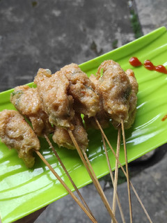 Foto resep Sempol Ayam Wortel/ Sempolan (Snack MPASI)