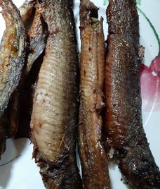 cá chạch nướng