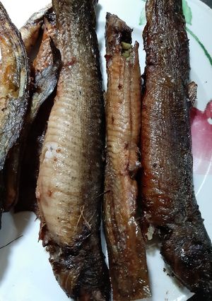 Hình của món Cá chạch nướng mọi.