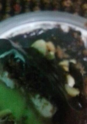 Foto resep Browkat(brownies alpukat)