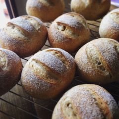 A picture of Bakery-style Holiday Dinner Rolls (Weizenmisch Brötchen).