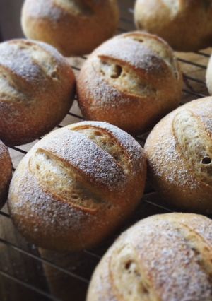 A picture of Bakery-style Holiday Dinner Rolls (Weizenmisch Brötchen).