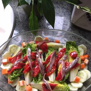 Ensalada de lechuga perdiz