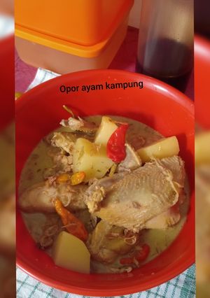 Foto resep Opor ayam kampung