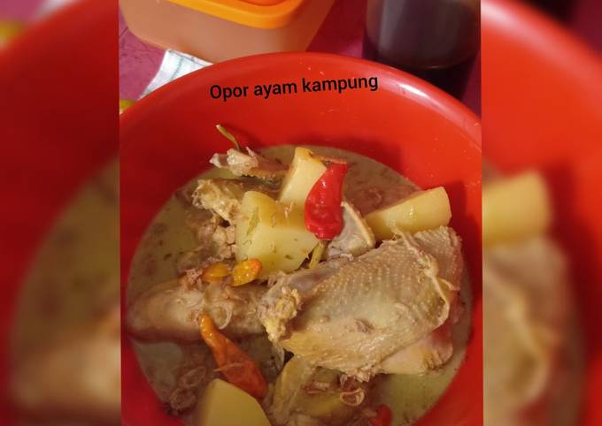 Opor ayam kampung