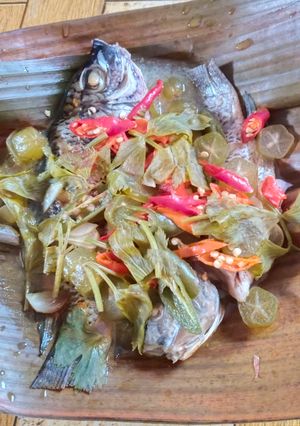 Foto resep Masak Ikan Nila Kukus