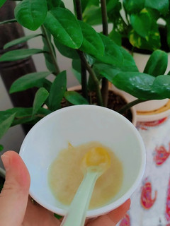 عکسی از دستور غذایِ کمکیِ نوزاد (پوره گلابی🍐)