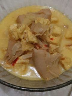 Foto resep Lodeh tewel tahu tempe