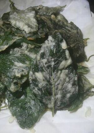 Foto resep Keripik Bayam