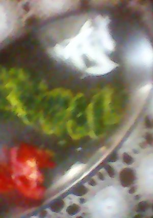 عکسی از دستور کتلت اسفناج