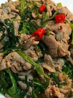 沙茶空心菜炒牛肉 的食譜成品照片