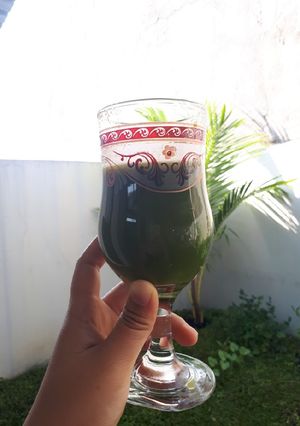 Foto resep Jus Sehat