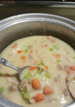 A picture of Cara's Turkey & gravy.