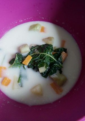 Foto resep Cream Sup Balita