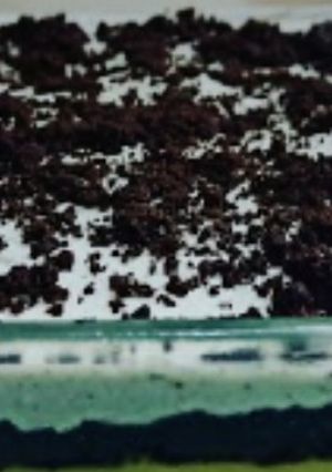A picture of फ्रोजन ओरियो डिजर्ट(Frozen oreo dessert recipe in hindi).