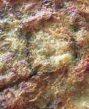 Lasaña de Atún y champiñones sin Pasta, con Zucchini