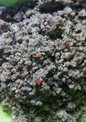 Foto resep TO (Tutug Oncom)