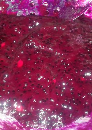 Foto resep Selai buah naga homemade😉