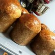 Panettone