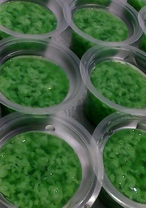 Foto resep Pudding lumut