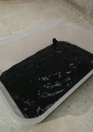 Foto resep Selai Kopi Toraja
