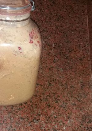 صورة لوصفة المش اوالجبنة القديمة الفلاحي