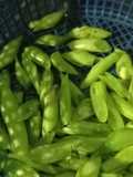 Tumis Buncis & Tempe Dadu
