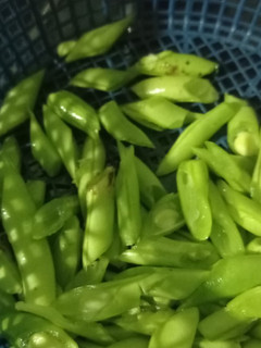 Foto resep Tumis Buncis & Tempe Dadu