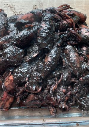 Foto resep Cumi hitam