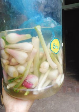Hình của món Hành ngâm ăn liền không lo hư lại không cần ngâm nước tro.