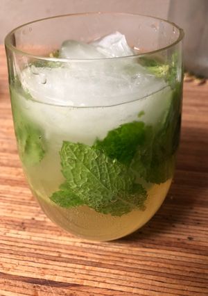 A picture of Mojito for Grammy.