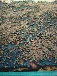 صورة لوصفة كيكه بارده😍😍
